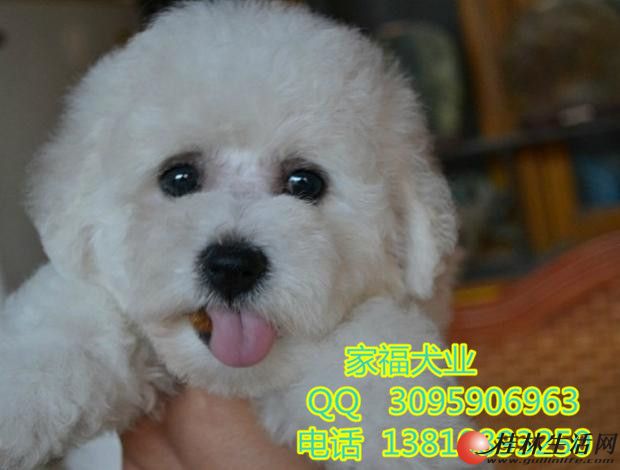 ����������Ȯ����Ǯһֻ �������� ��ϵ���� �����Ҹ�Ȯҵֱ��