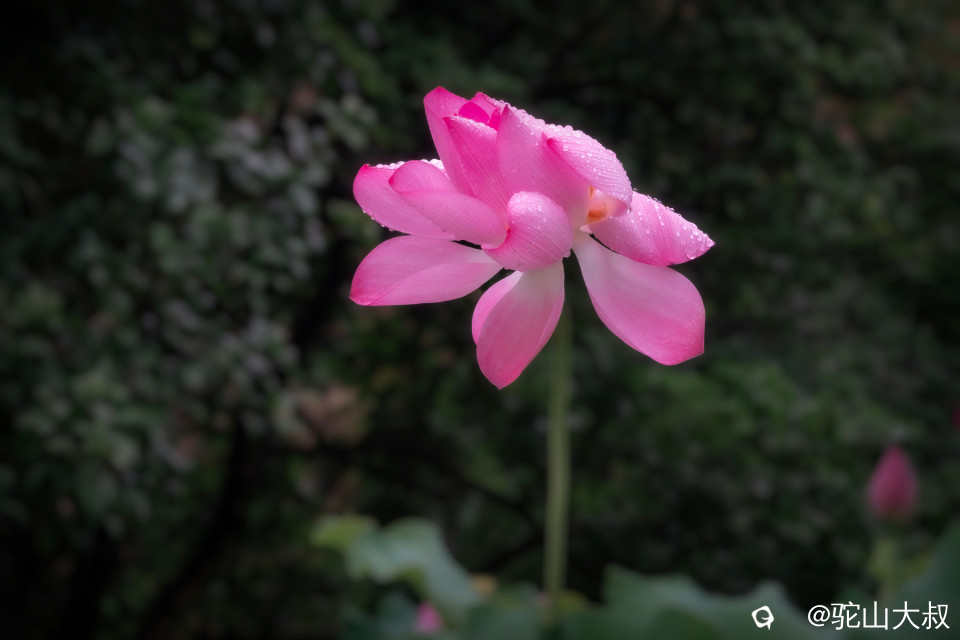 DSC03989-0.jpg