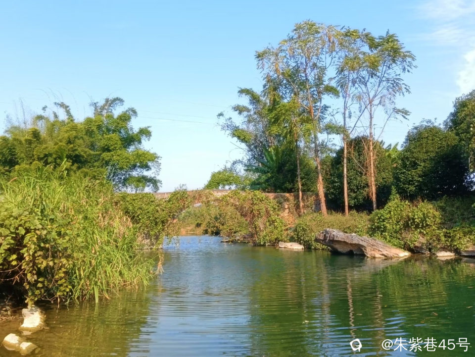 Image_1705149343499.jpg