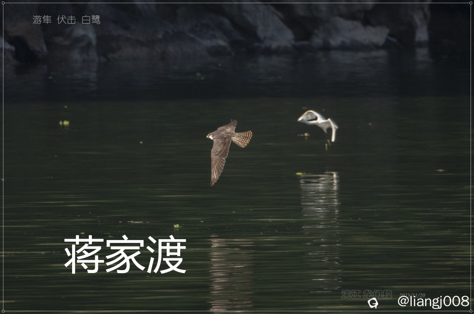 DSC00926_副本_副本.jpg