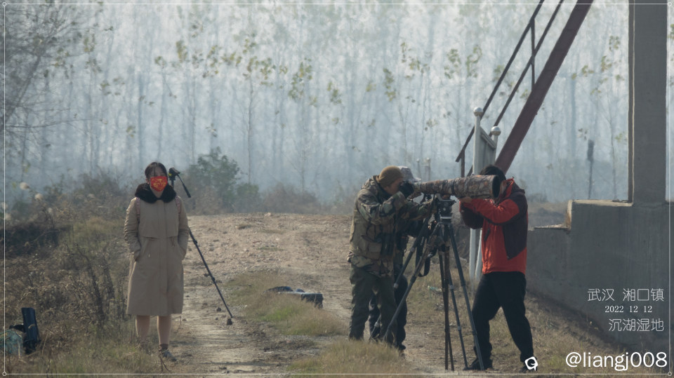 武汉 沉湖湿地 工作照