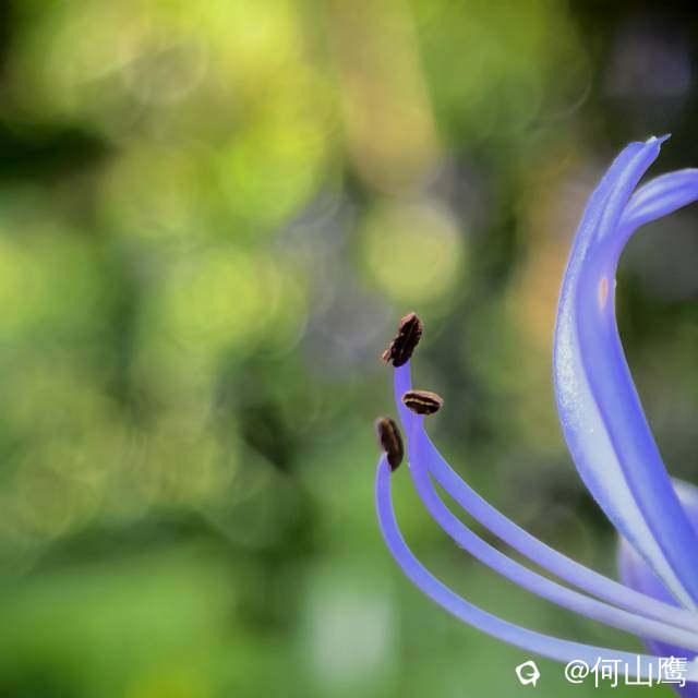 7d10aa2c-2510-c4b8-1b3e-056dc5b60c18.jpg
