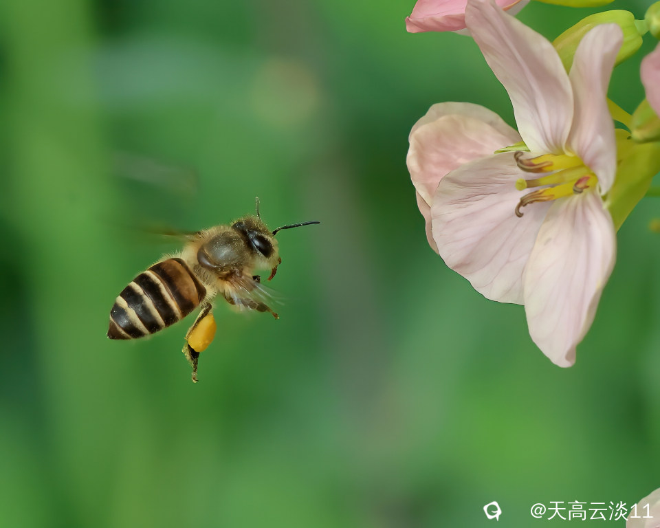 5D2A1668-DeNoiseAI-clear.jpg