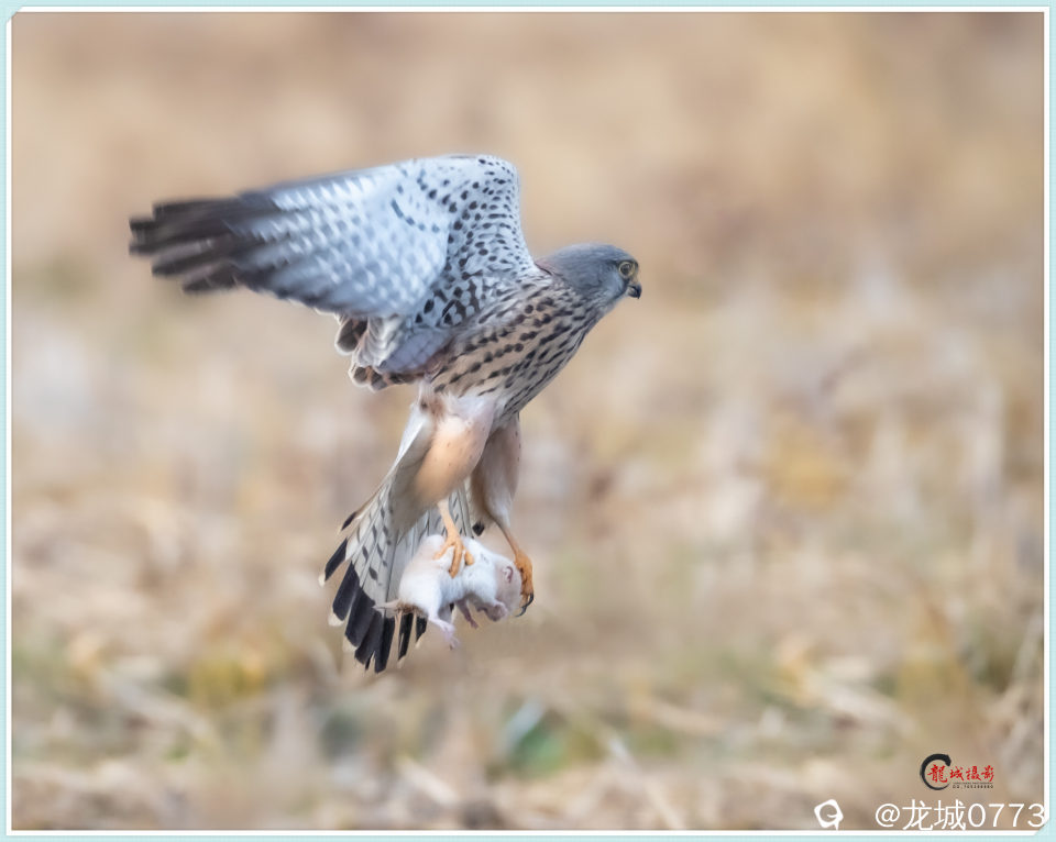 BG9I6958_副本 - 副本.jpg