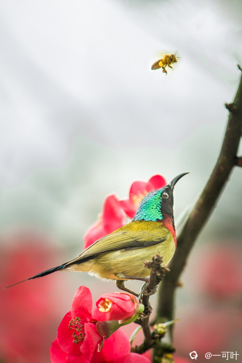 mmexport1716895032103 (2).jpg