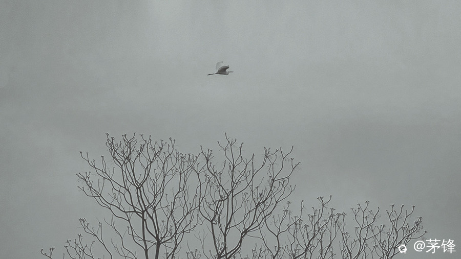 DSCF4500-1.jpg