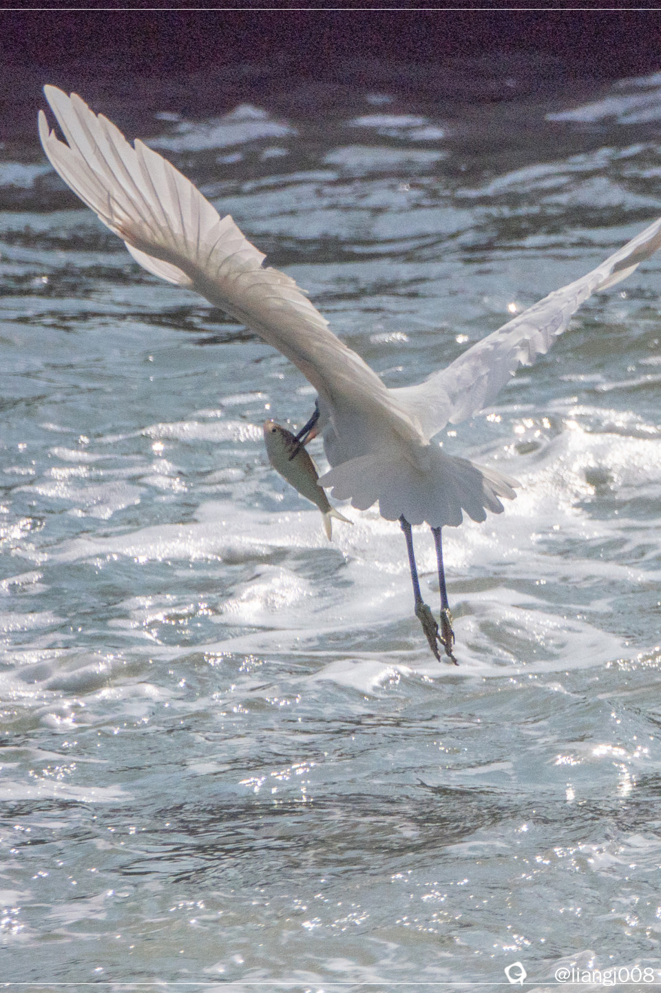 DSC02077_副本.jpg