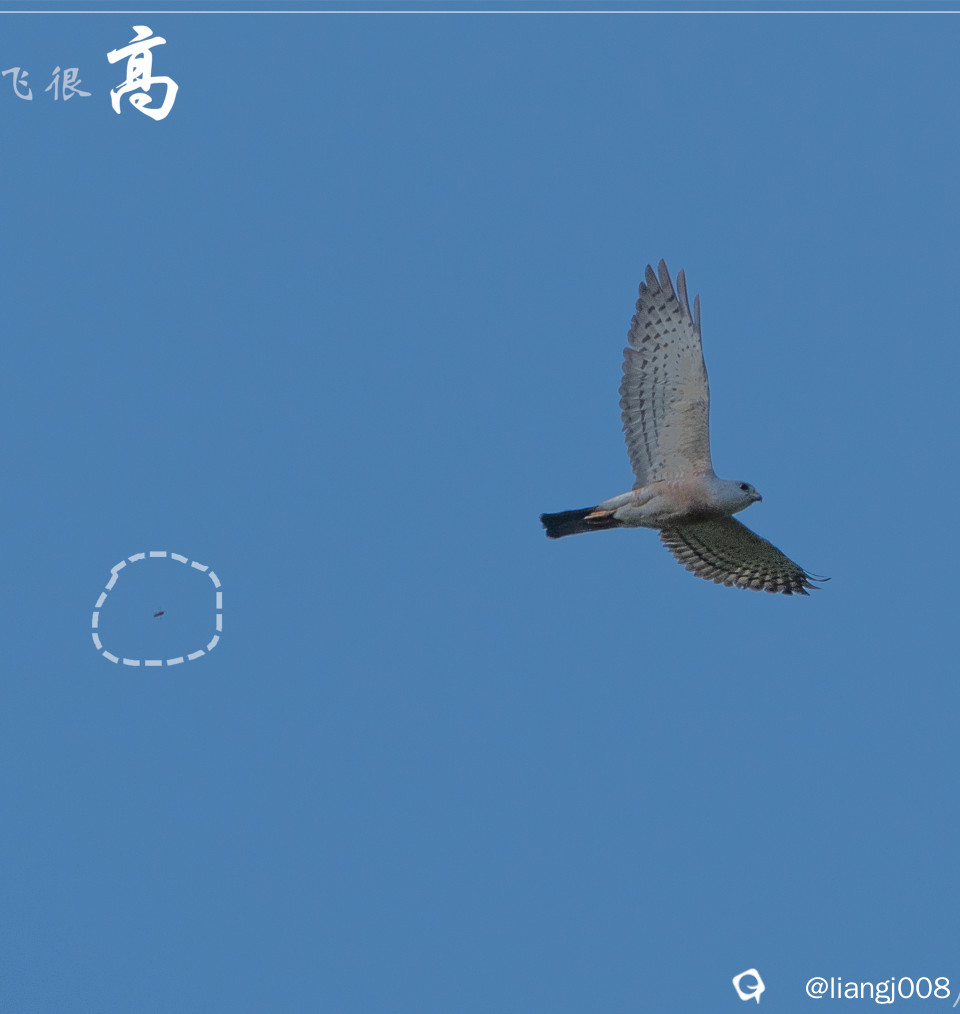 DSC00846_副本.jpg