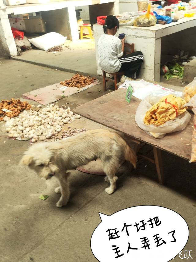 434ff3cf-7c3f-354f-a926-70336f12eb24.jpg