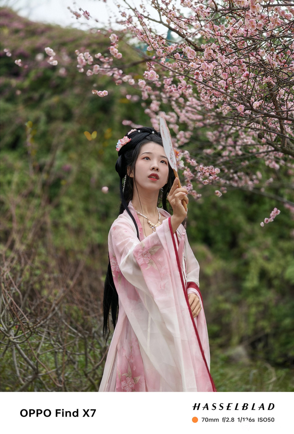 IMG20240201165558.jpg