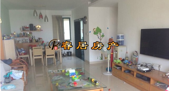 Z ˫֤��ȫ 25��װ�������㳡 ʥ¡�����ӡ�5��2�� ʹ�����248�O 86��