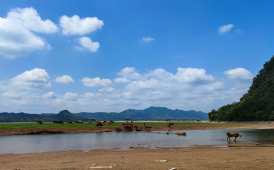 金鸡河水库风光