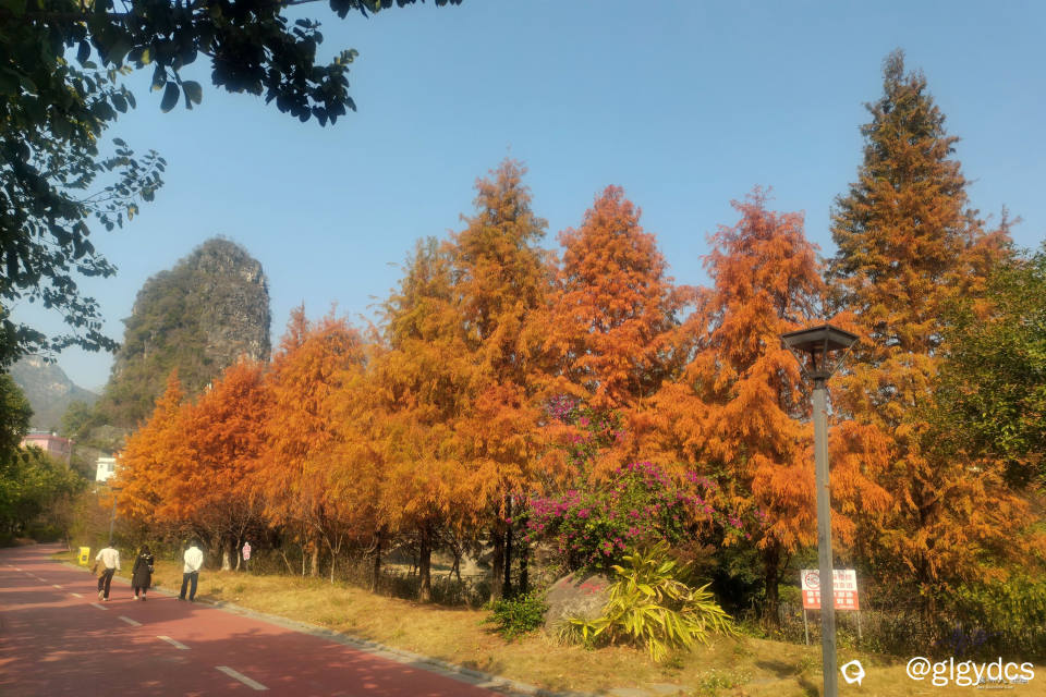IMG_20241220_113701_副本.jpg