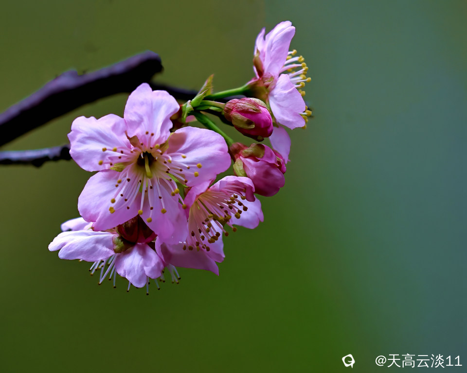 5D2A3134-DeNoiseAI-denoise.jpg