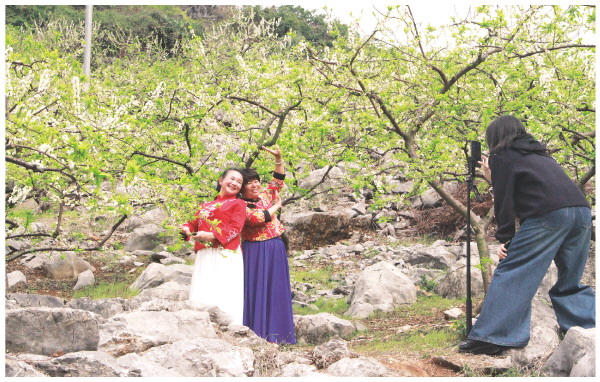 【新春走基层】市民游客畅游恭城&ldquo;李花花海&rdquo;