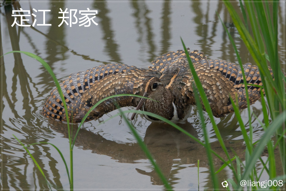 DSC03776_副本_副本.jpg