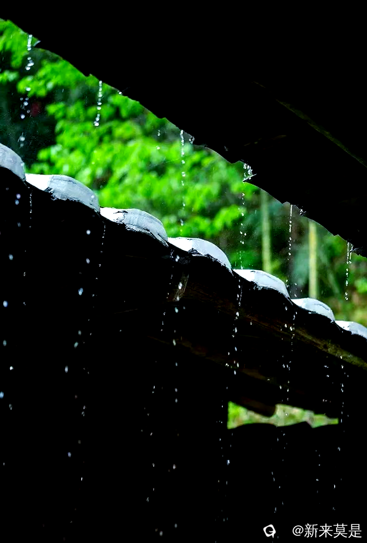 d20bc611c445a9c1bbf7ce085c39bf74.png