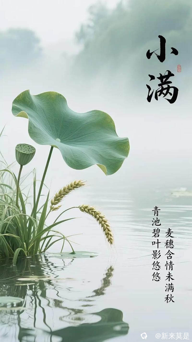 u=1470271593,2157202762&fm=253&app=138&f=JPEG.jpg