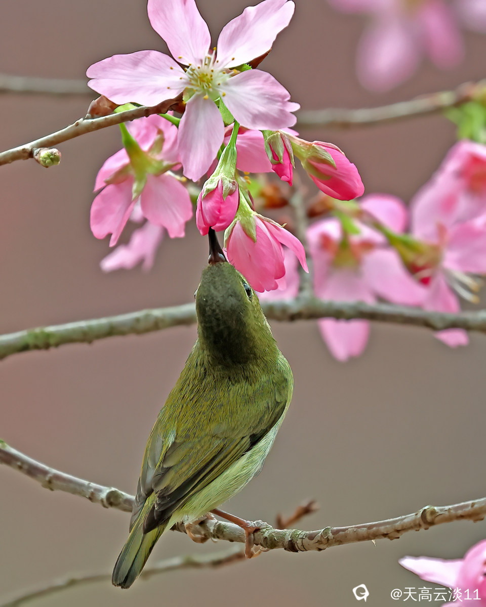 5D2A0505_副本-DeNoiseAI-clear.jpg