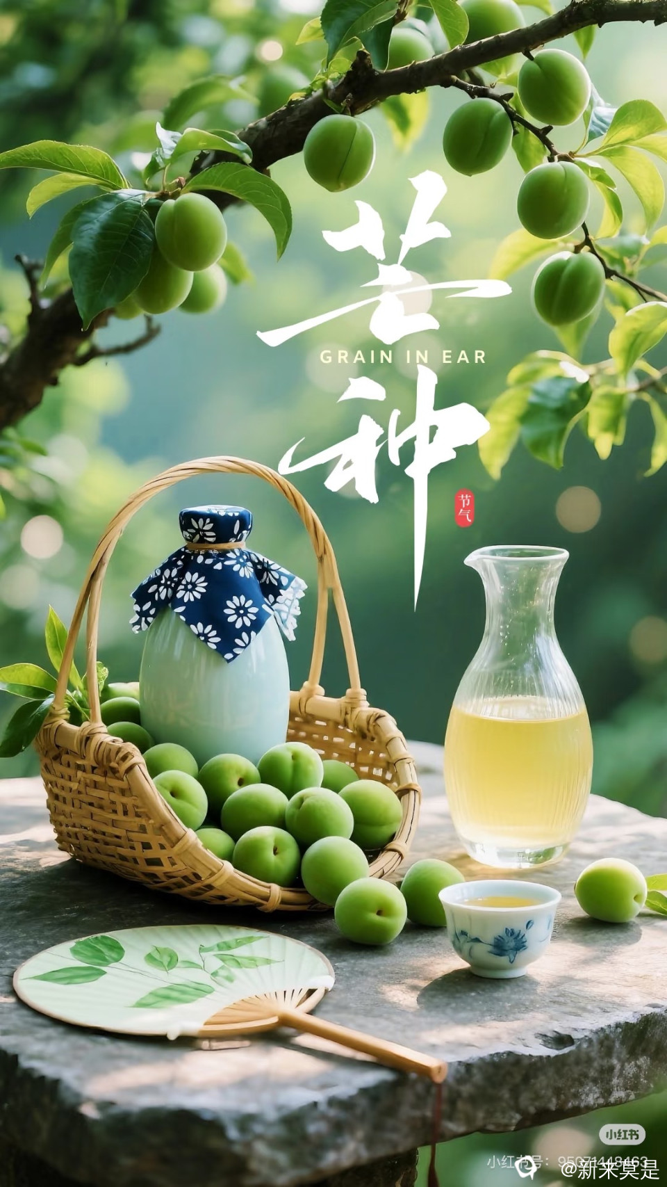 ecwhv5-1ZvAl1AdNug02dg4e521fc87d88cf64f4c4098981acffcc_看图王.jpg