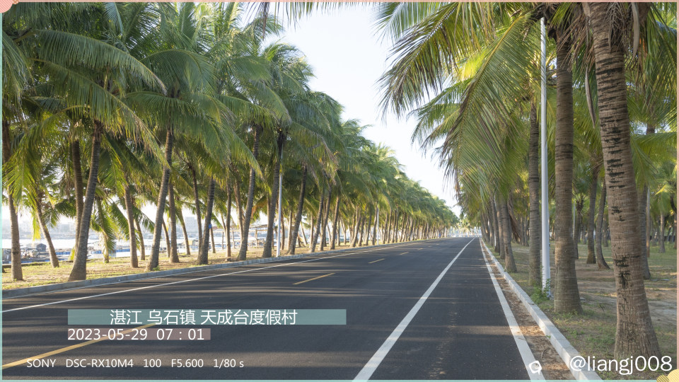 湛江 天成台  蜂虎鸟