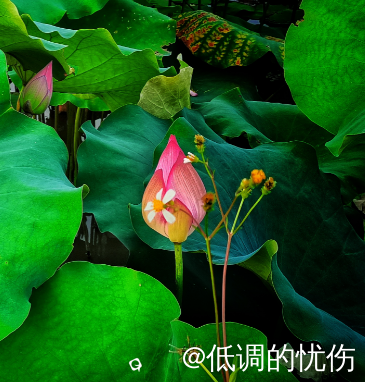 截图202407171729477218.png