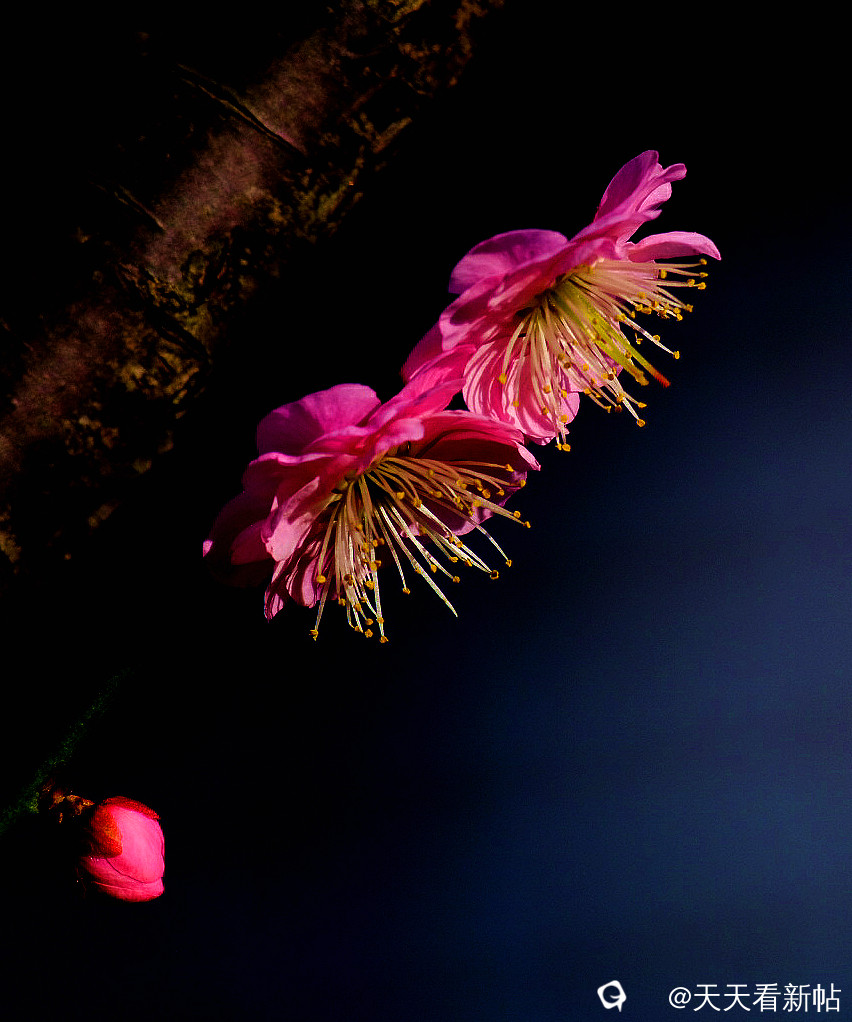 DSCF2255_副本.jpg