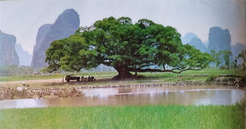 童年记忆：找到《人民画报》里的桂林1978