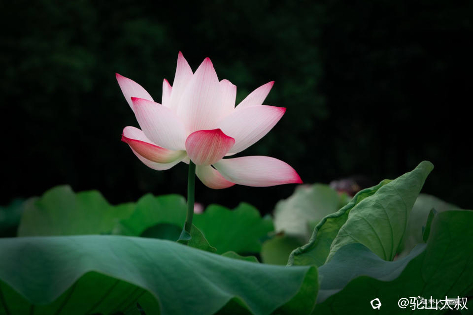 DSC07420-0 - 副本.jpg