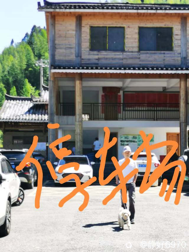 3dd64d21-af43-b56c-ba05-3d66ea4aa59a.jpg