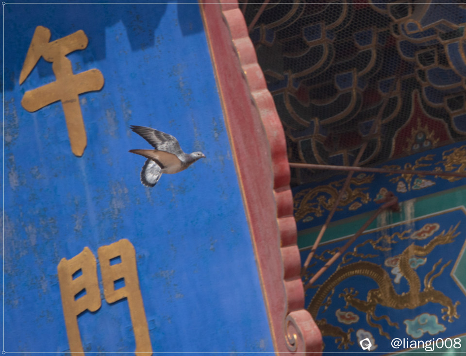 DSC07933_副本_副本.jpg