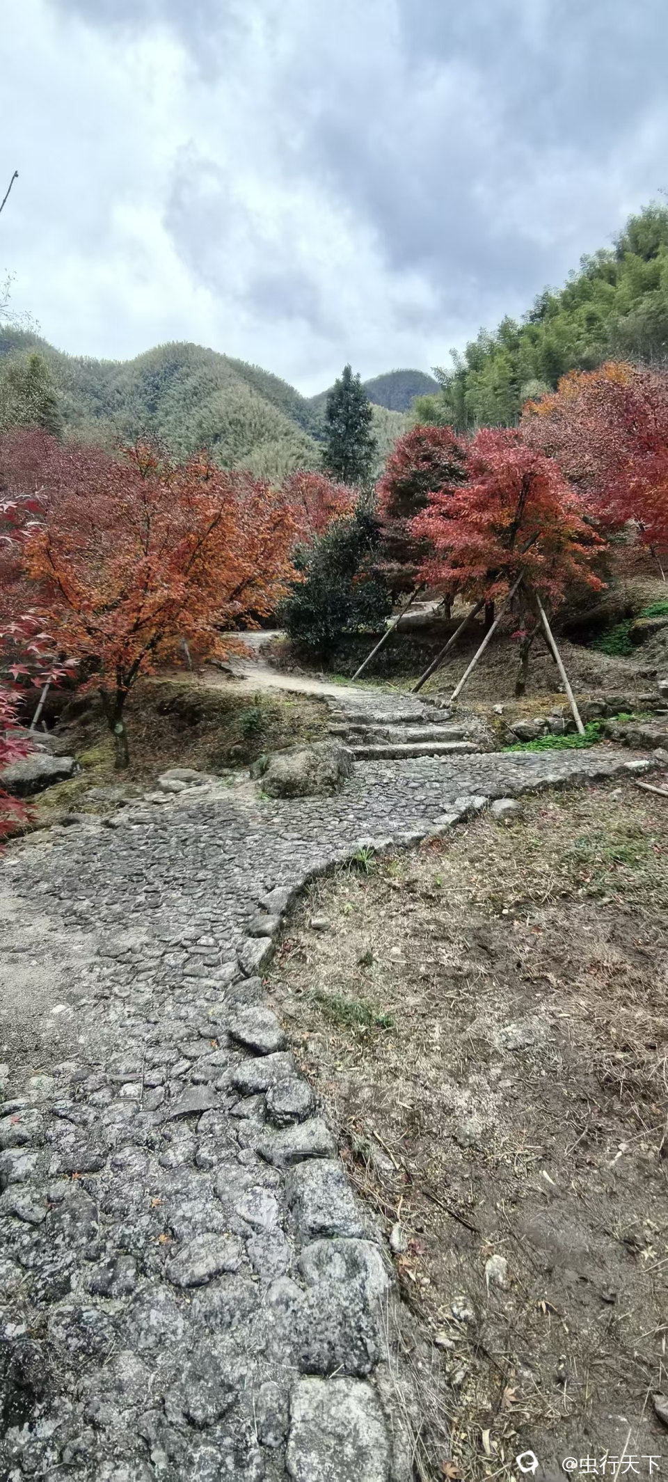 微信图片_20251201160928_205_88.jpg