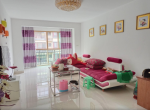 T �к�������«��Сѧ����С�� ����ɽɫ3��2����װ��86��