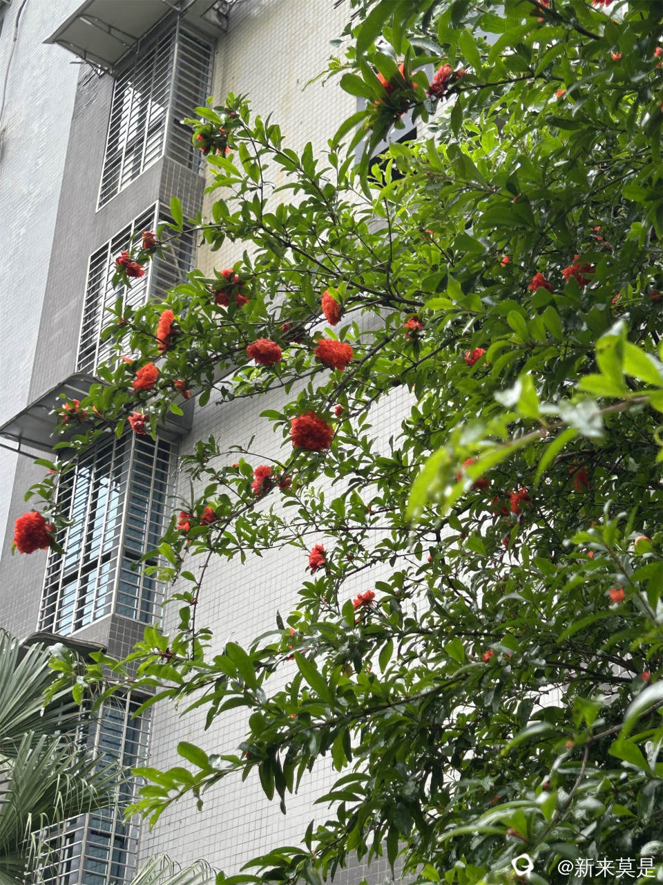 微信图片_20260514142026_308_289.jpg
