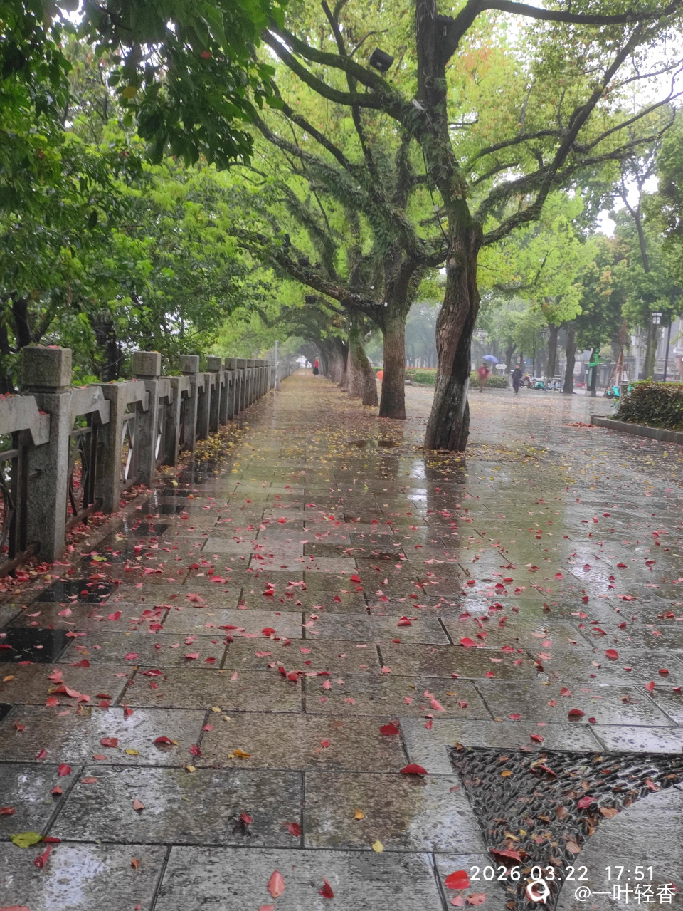 微信图片_20260324222608_1378_2.jpg