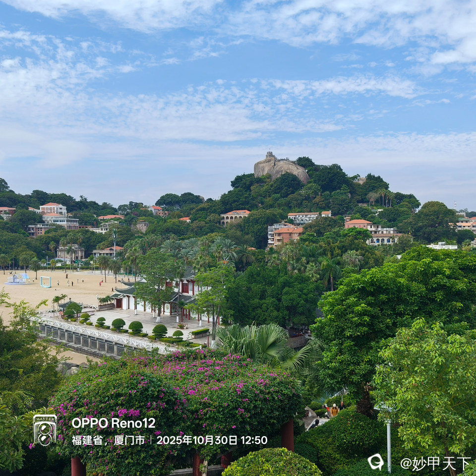 在花园山上眺对面山上最高处的日光岩。