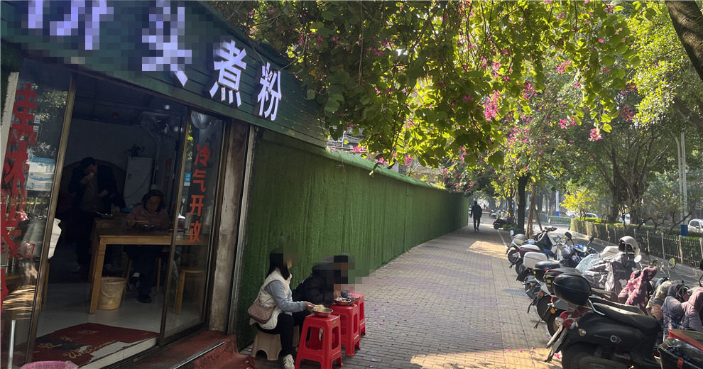 在花树下嗦一碗酸辣煮粉，太爽了！