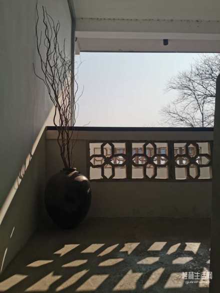 陪莹莹相亲喝咖啡！亚比，啾啾啾～