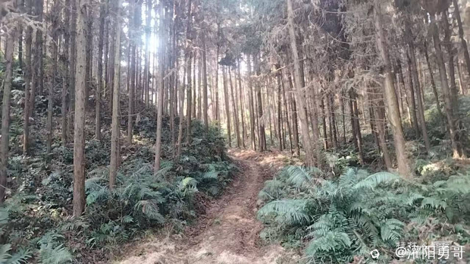 微信图片_20260224165914_495_377.jpg