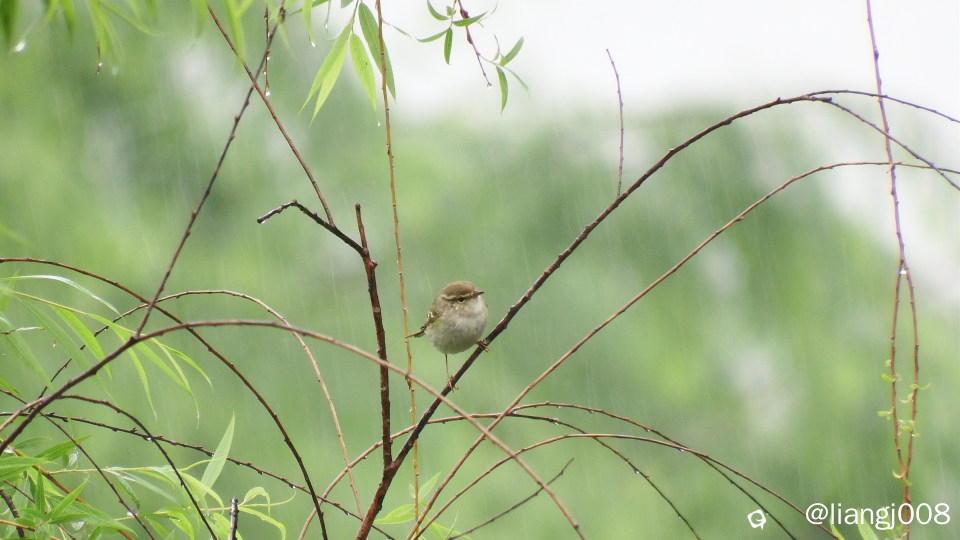 S0567295_副本.jpg
