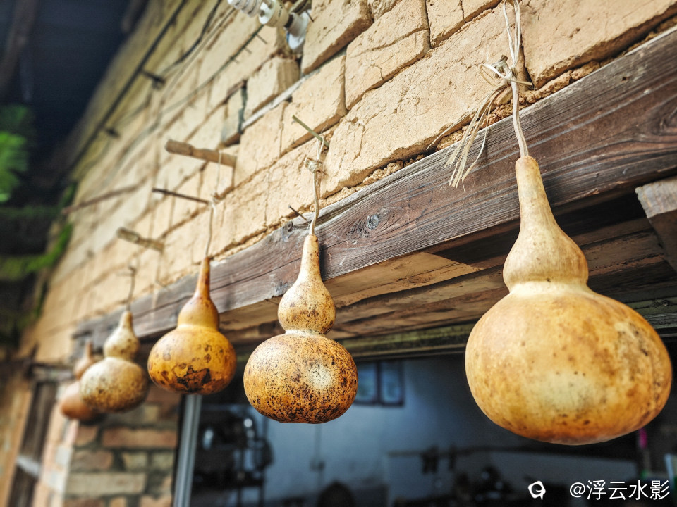 IMG_20251108_123127-109 [最大宽度 2400 最大高度 1800].jpg