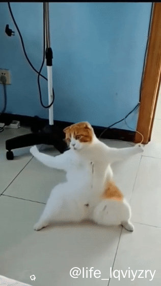 JINSA的抖音 - 抖音 (1)[00-00-08--00-00-10].gif