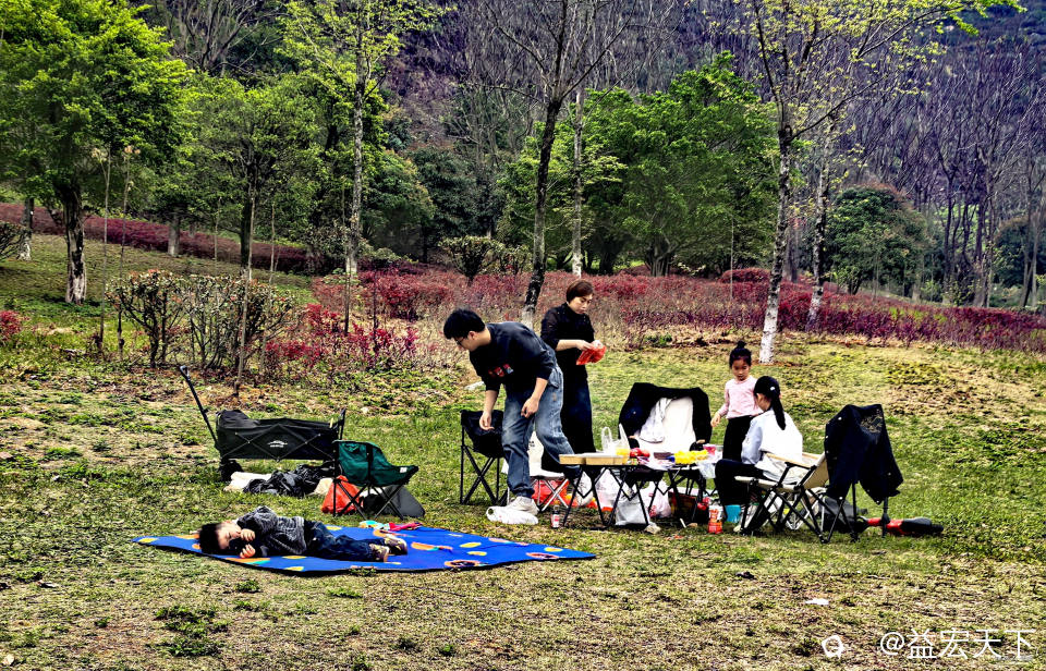 IMG_20260315_132357.jpg