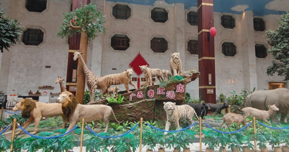 四年后，重住平南老虎酒店