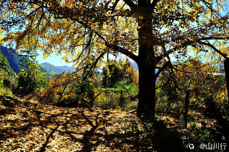 DSC_3864_1.jpg