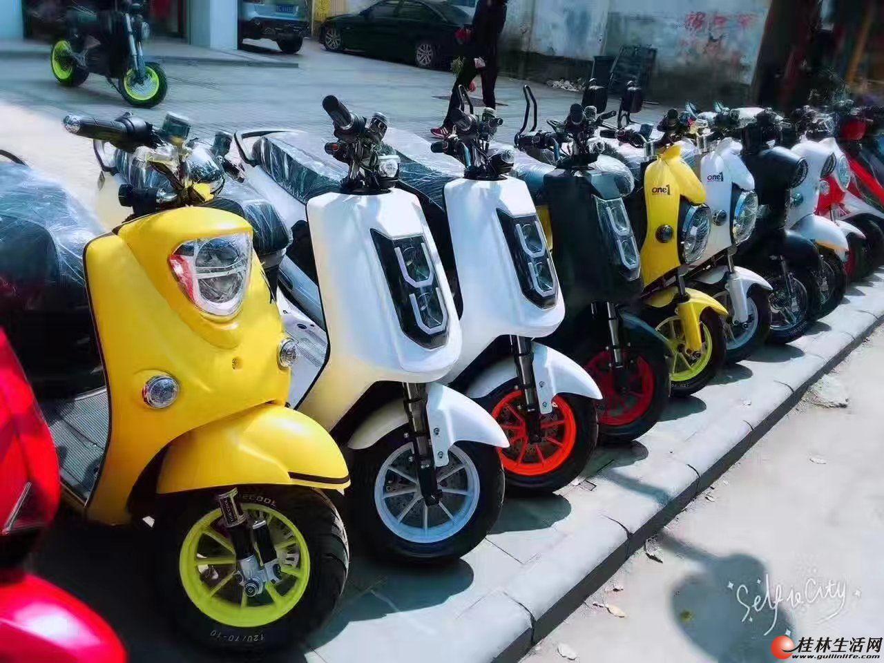 �����׸�ȫ��﮵�綯�����������ٿ¡�Сţ�綯����﮵�공