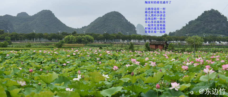 241_副本.jpg