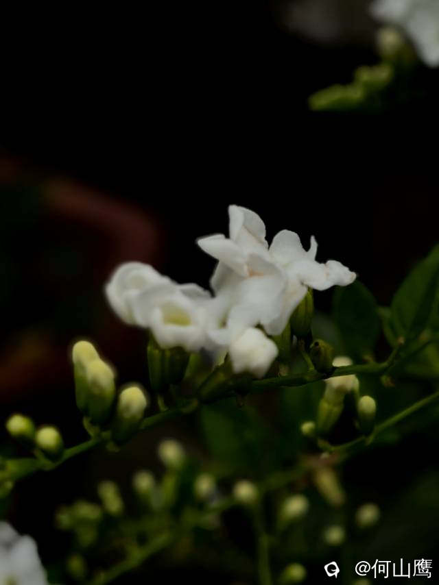 671b46c6-fd41-aef6-ad5c-b1c9fb876549.jpg
