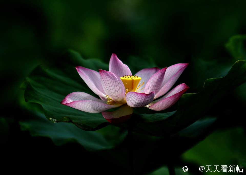 DSC_4645_副本.jpg