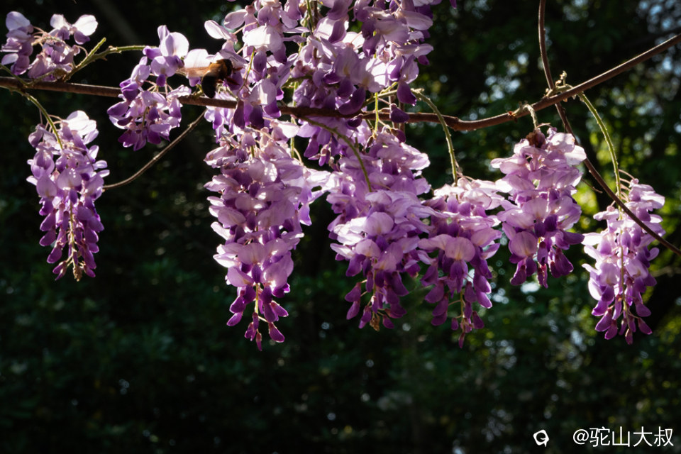 DSC01572-0 - 副本.jpg